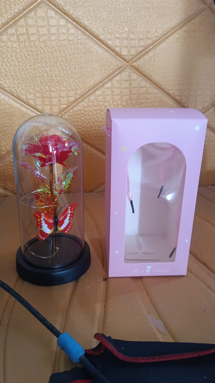 Elegant Led Eternal Rose In Plastic Dome (1 Pc Battery Not Included)