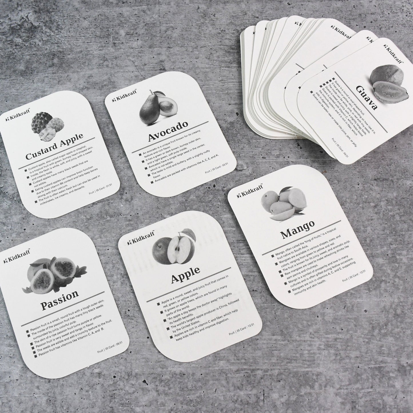 Kidkraft Early Learner Educational Flashcards  32 Birds